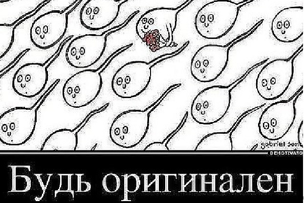 Сперматозоиды